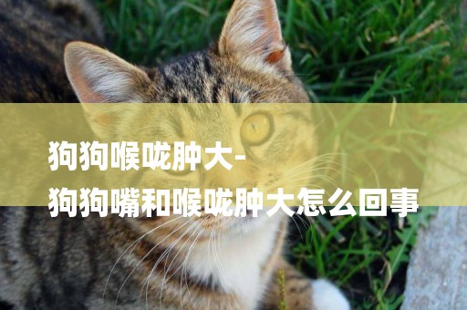 狗狗喉嚨腫大-
狗狗嘴和喉嚨腫大怎么回事