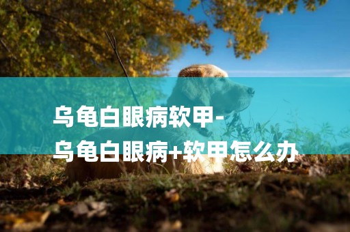 烏龜白眼病軟甲-
烏龜白眼病+軟甲怎么辦
