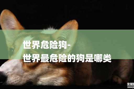 世界危險狗-
世界最危險的狗是哪類
