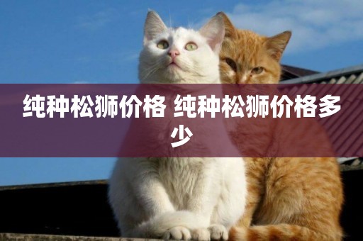 純種松獅價格 純種松獅價格多少