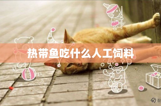 熱帶魚吃什么人工飼料