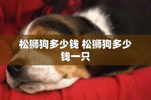 松獅狗多少錢 松獅狗多少錢一只