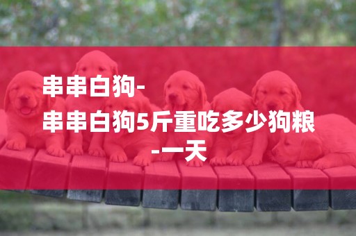 串串白狗-
串串白狗5斤重吃多少狗糧-一天