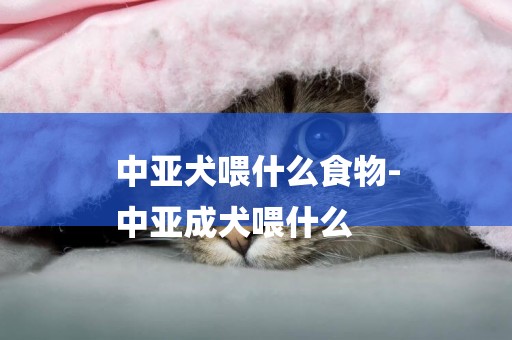 中亞犬喂什么食物-
中亞成犬喂什么