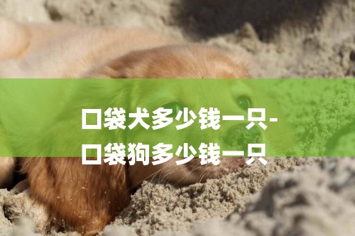 口袋犬多少錢一只-
口袋狗多少錢一只