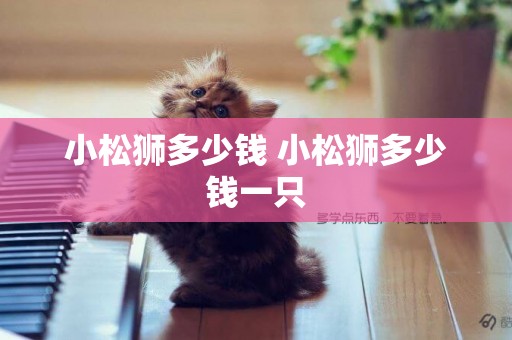 小松獅多少錢 小松獅多少錢一只