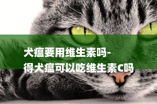 犬瘟要用維生素嗎-
得犬瘟可以吃維生素C嗎