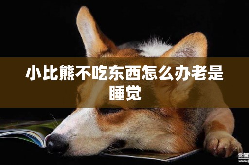 小比熊不吃東西怎么辦老是睡覺