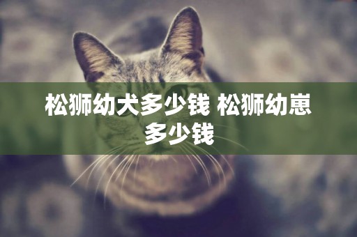 松獅幼犬多少錢 松獅幼崽多少錢