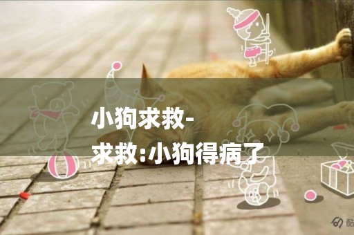 小狗求救-
求救:小狗得病了