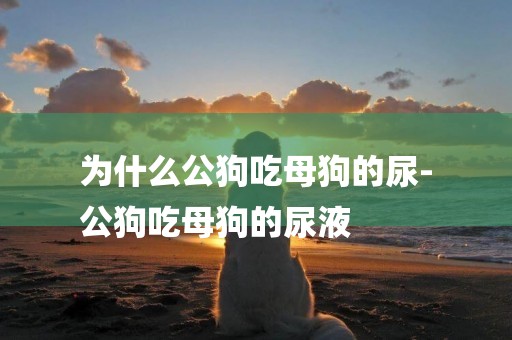 為什么公狗吃母狗的尿-
公狗吃母狗的尿液