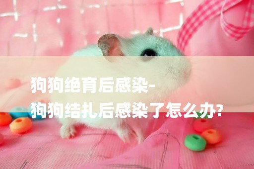 狗狗絕育后感染-
狗狗結扎后感染了怎么辦?