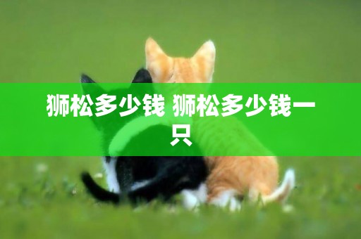獅松多少錢 獅松多少錢一只