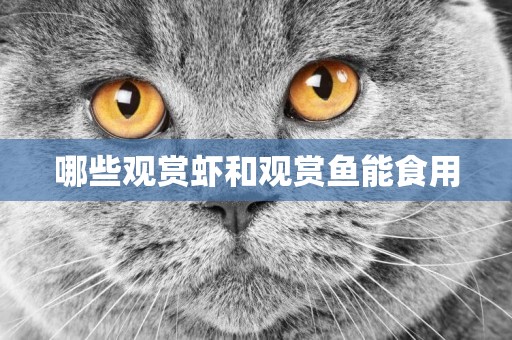 哪些觀賞蝦和觀賞魚能食用