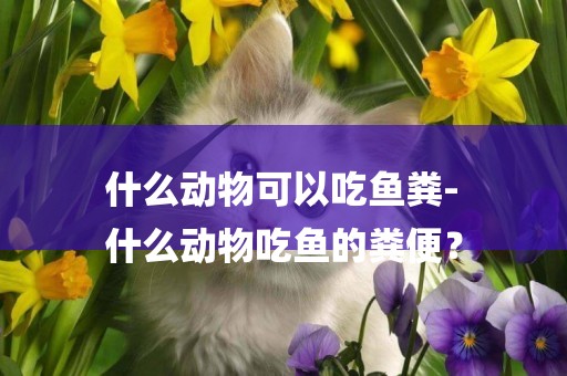 什么動物可以吃魚糞-
什么動物吃魚的糞便？