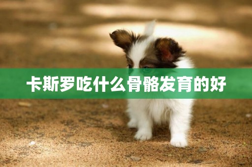 卡斯羅吃什么骨骼發育的好