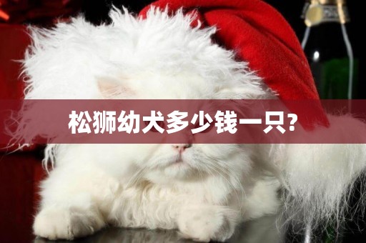 松獅幼犬多少錢一只?
