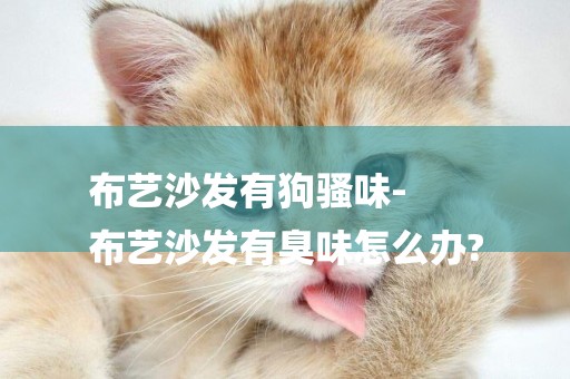 布藝沙發有狗騷味-
布藝沙發有臭味怎么辦?