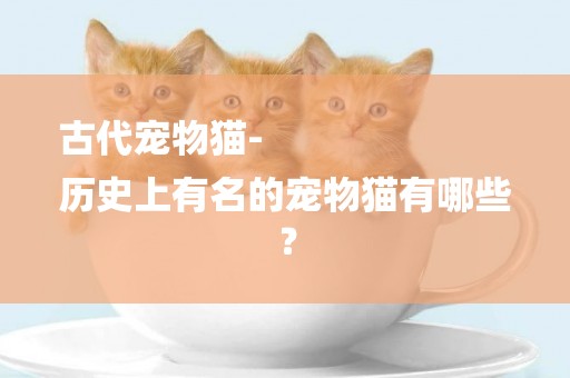 古代寵物貓-
歷史上有名的寵物貓有哪些？