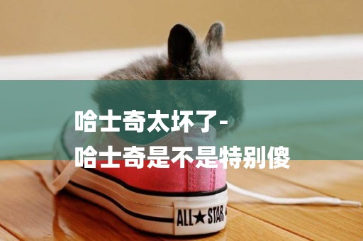 哈士奇太壞了-
哈士奇是不是特別傻