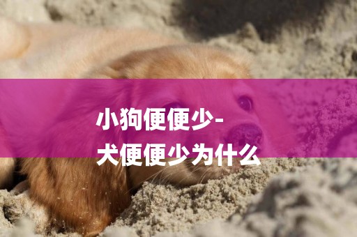 小狗便便少-
犬便便少為什么