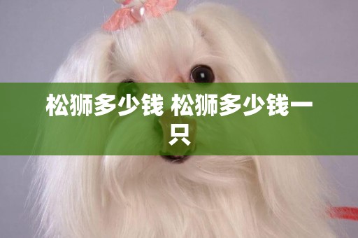 松獅多少錢 松獅多少錢一只