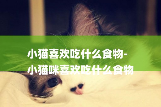 小貓喜歡吃什么食物-
小貓咪喜歡吃什么食物