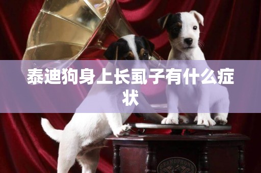 泰迪狗身上長虱子有什么癥狀