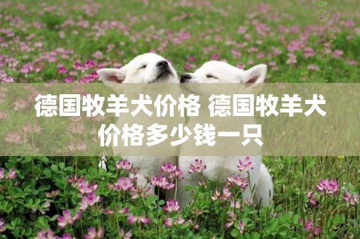 德國牧羊犬價格 德國牧羊犬價格多少錢一只