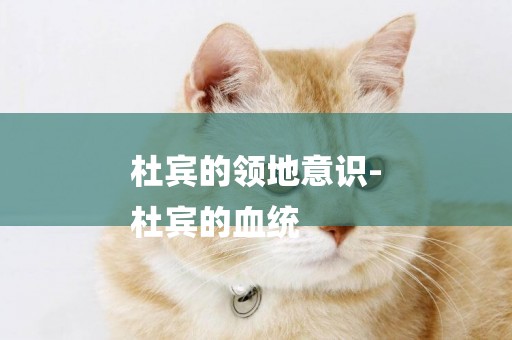 杜賓的領地意識-
杜賓的血統