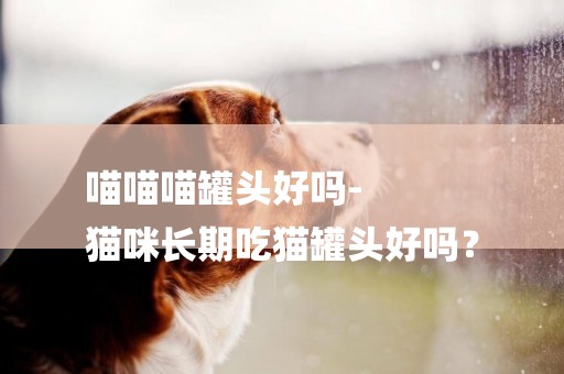 喵喵喵罐頭好嗎-
貓咪長期吃貓罐頭好嗎？