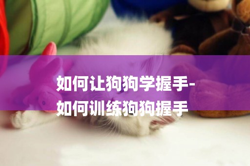 如何讓狗狗學握手-
如何訓練狗狗握手