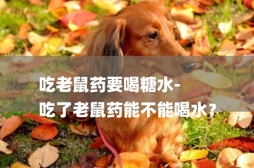 吃老鼠藥要喝糖水-
吃了老鼠藥能不能喝水？
