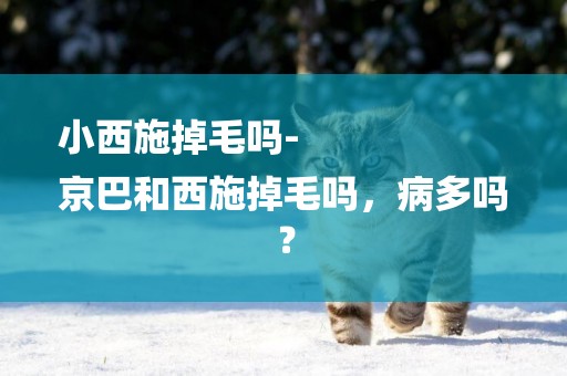 小西施掉毛嗎-
京巴和西施掉毛嗎，病多嗎？