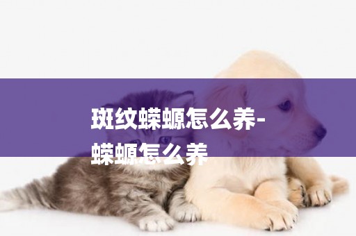 斑紋蠑螈怎么養-
蠑螈怎么養