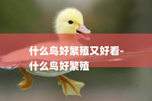 什么鳥好繁殖又好看-
什么鳥好繁殖
