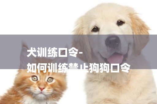犬訓練口令-
如何訓練禁止狗狗口令