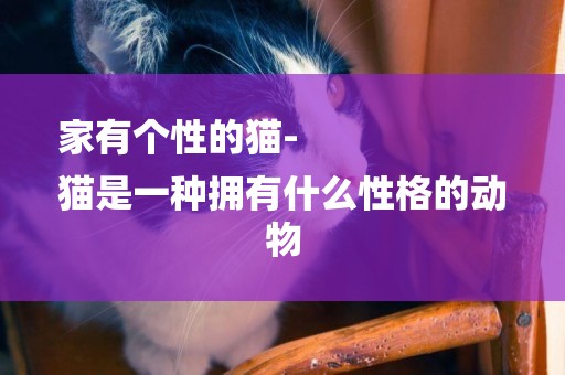 家有個性的貓-
貓是一種擁有什么性格的動物