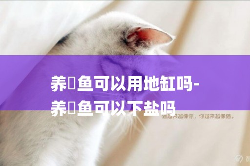 養魟魚可以用地缸嗎-
養魟魚可以下鹽嗎