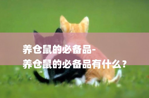 養倉鼠的必備品-
養倉鼠的必備品有什么？