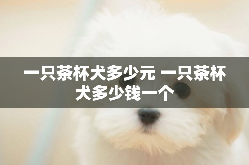 一只茶杯犬多少元 一只茶杯犬多少錢一個