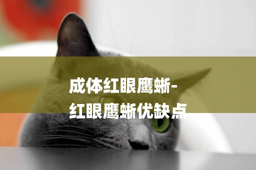 成體紅眼鷹蜥-
紅眼鷹蜥優缺點