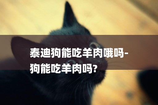 泰迪狗能吃羊肉哦嗎-
狗能吃羊肉嗎?