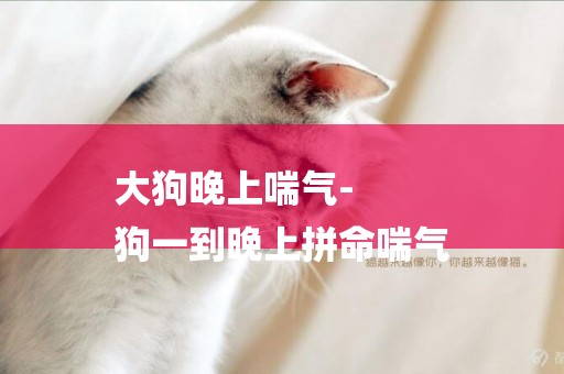 大狗晚上喘氣-
狗一到晚上拼命喘氣