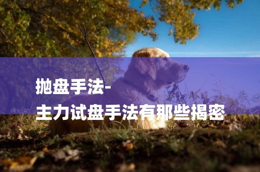 拋盤手法-
主力試盤手法有那些揭密