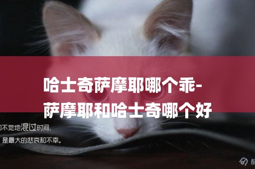 哈士奇薩摩耶哪個乖-
薩摩耶和哈士奇哪個好