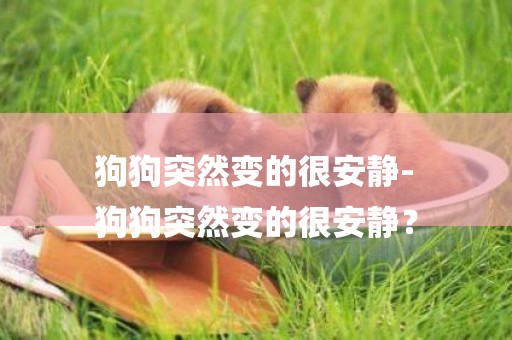 狗狗突然變的很安靜-
狗狗突然變的很安靜？