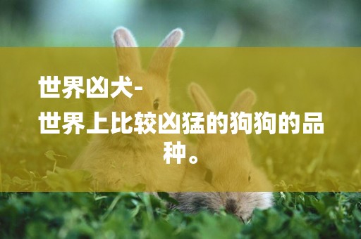 世界兇犬-
世界上比較兇猛的狗狗的品種。