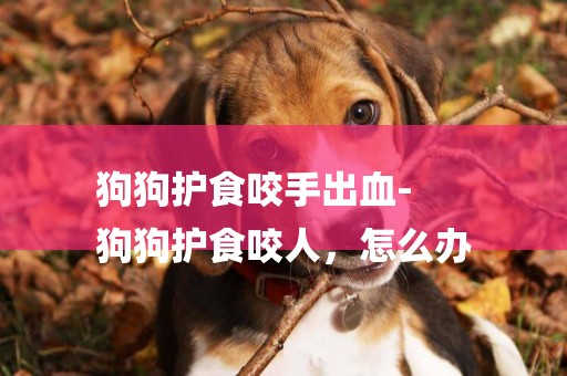 狗狗護食咬手出血-
狗狗護食咬人，怎么辦