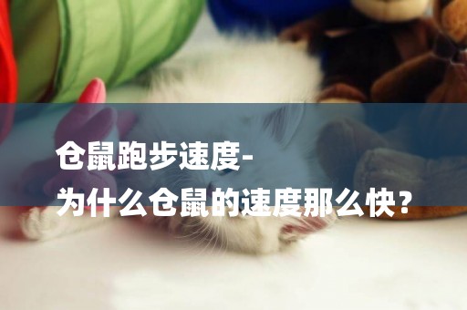 倉鼠跑步速度-
為什么倉鼠的速度那么快？
